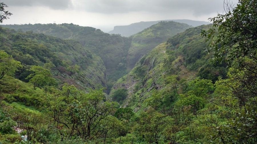 Tamhini Ghat — photograph 7