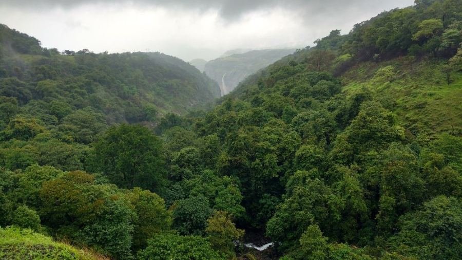 Tamhini Ghat — photograph 10