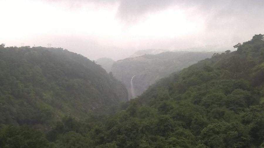 Tamhini Ghat — photograph 11
